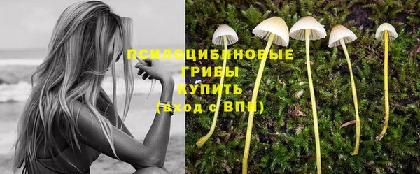 трава Бородино