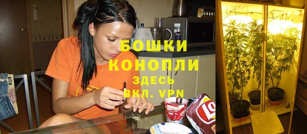 трава Бородино