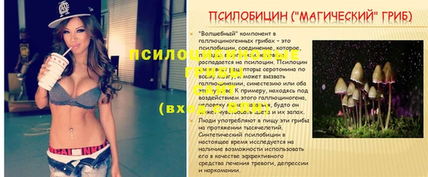 эйфоретик Бугульма