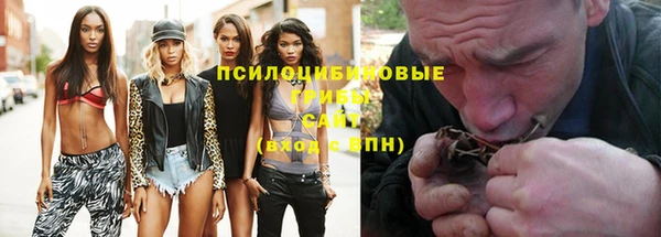 PSILOCYBIN Бронницы